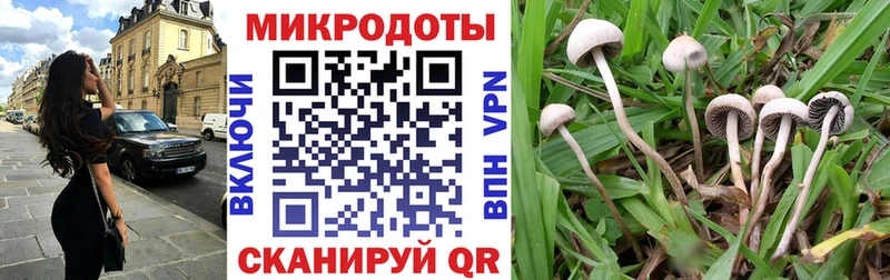 наркота  Руза  Галлюциногенные грибы Magic Shrooms 