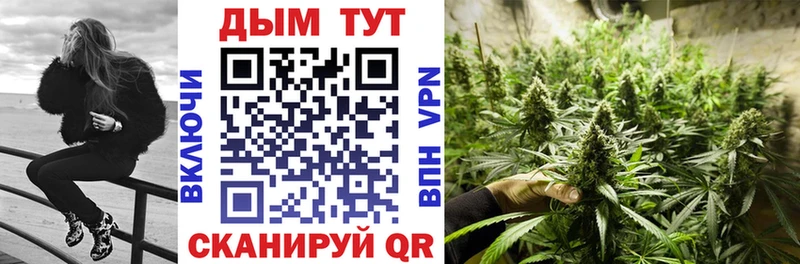 shop Telegram Руза Шишки марихуана AK-47
